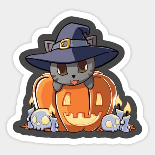 Grey cat in a pumpkin Sticker